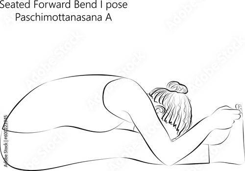 Sketch of young woman practicing yoga, doing Seated Forward Bend 1 pose or Intense West Stretch. Paschimottanasana A. Seated and Forward Bend. Vector illustration isolated on transparent background.