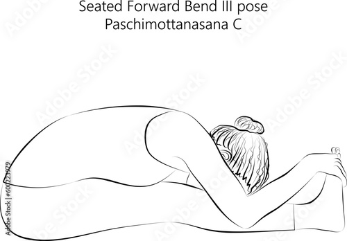 Sketch of young woman practicing yoga, doing Seated Forward Bend 3 pose or Intense West Stretch. Paschimottanasana C. Seated and Forward Bend. Vector illustration isolated on transparent background.