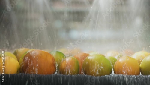 Orange industry, machine running during the washing line - stock video