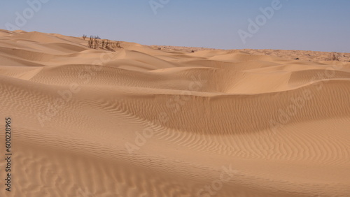 Sand dunes in the Sahara Desert  outside of Douz  Tunisia