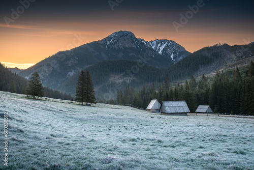 Chocholowska valley in Tatras