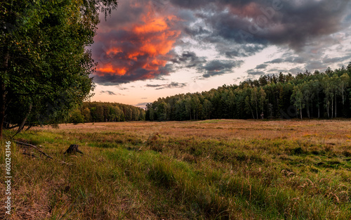 Colorful clouds above meadow and forest edge landscape. End of summer season.