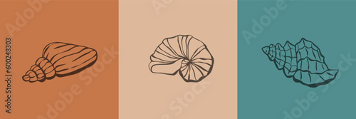 Set, row of seashell icons in a trendy minimal linear style. Vector illustration of a conch, oyster, scallop and snail, Use it for website, t-shirt print, tattoo, social media post and stories, banner