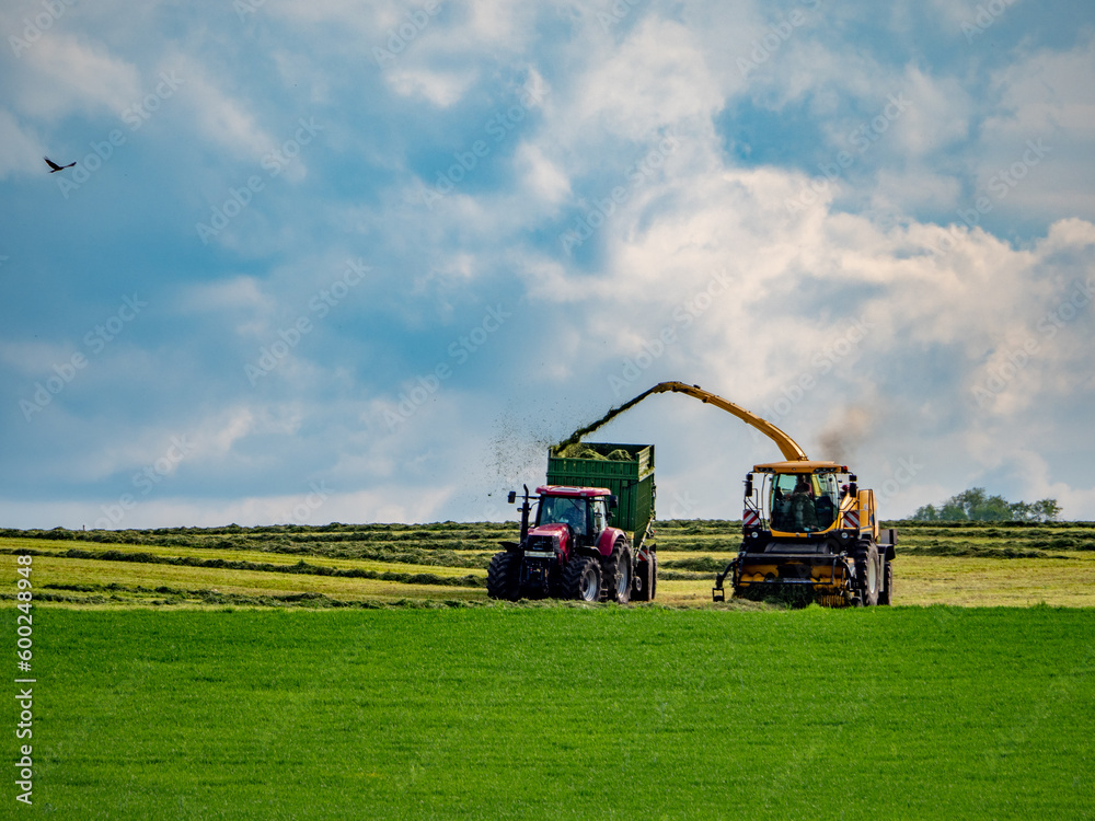 Fototapeta premium Erntemaschienen sammeln Gras auf einer frisch gemähten Wiese