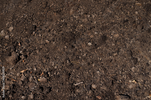 Soil texture close-up