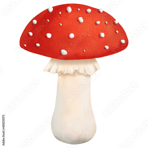 Beautiful bright red poisonous mushroom fly agaric. Isolated watercolor illustration - tutorial, guidebook, workbook, workbook, notebook, print, scrapbooking, Sticker, exercise book, textile, design