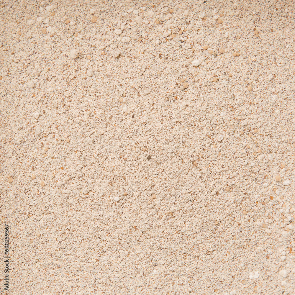 Sand for the Cat Litter. Natural Wooden Litter Top View. Toilet Particles. Macro. Organic Fuel. Wet Particles Sand for the Cat Litter. Natural Wooden Litter Top View. Toilet Particles. Macro. Organic Fuel. Wet Particles