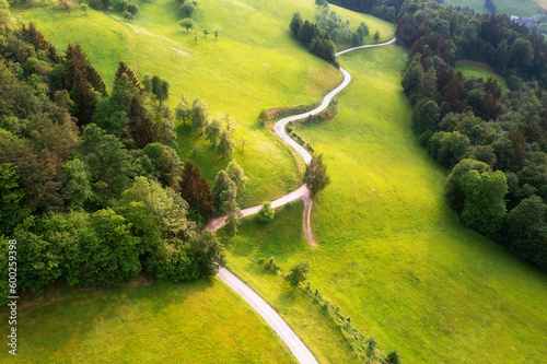 Aerial view of road in green alpine meadows and hills at sunset