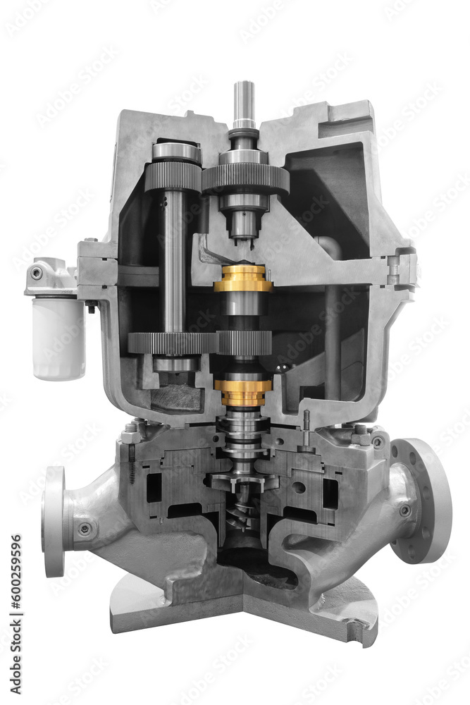 Gears of transmission gearbox on white background Gears of transmission gearbox on white background
