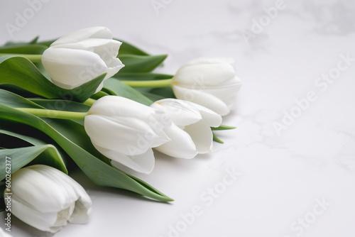 Bouquet of white tulips on white background