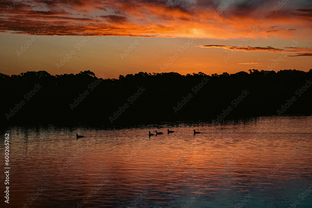 Fototapeta premium sunset on the lake