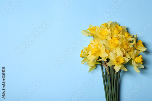 Bouquet of beautiful yellow daffodils on light blue background, top view. Space for text
