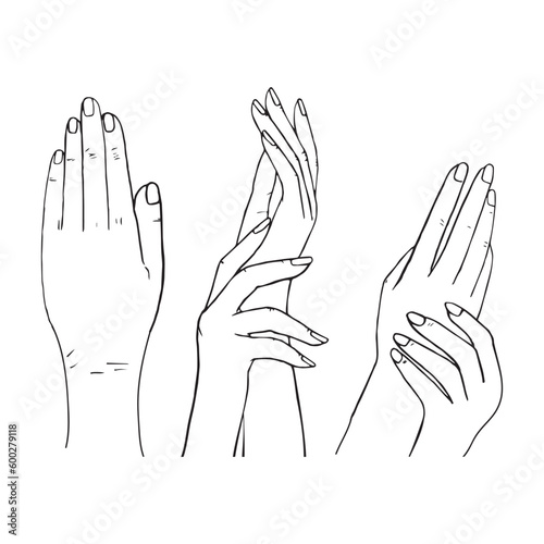 Woman Hands Silhouette Delicate Rejuvenating. Elegant female hands. Hand Drawn Realistic Hold Gestures. Line Art icon symbol design illustration