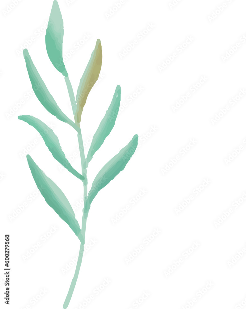 Floral vector illustration, flower, leaves, watercolor, plant