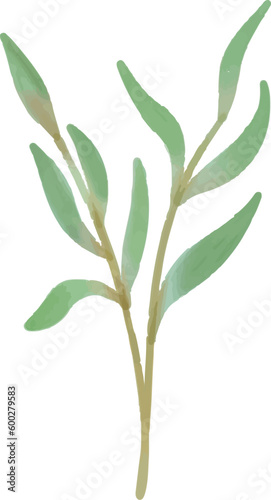Floral vector illustration, flower, leaves, watercolor, plant