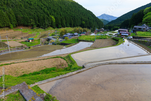 Terraced fields flooded with water before rice planting in rural Japan village