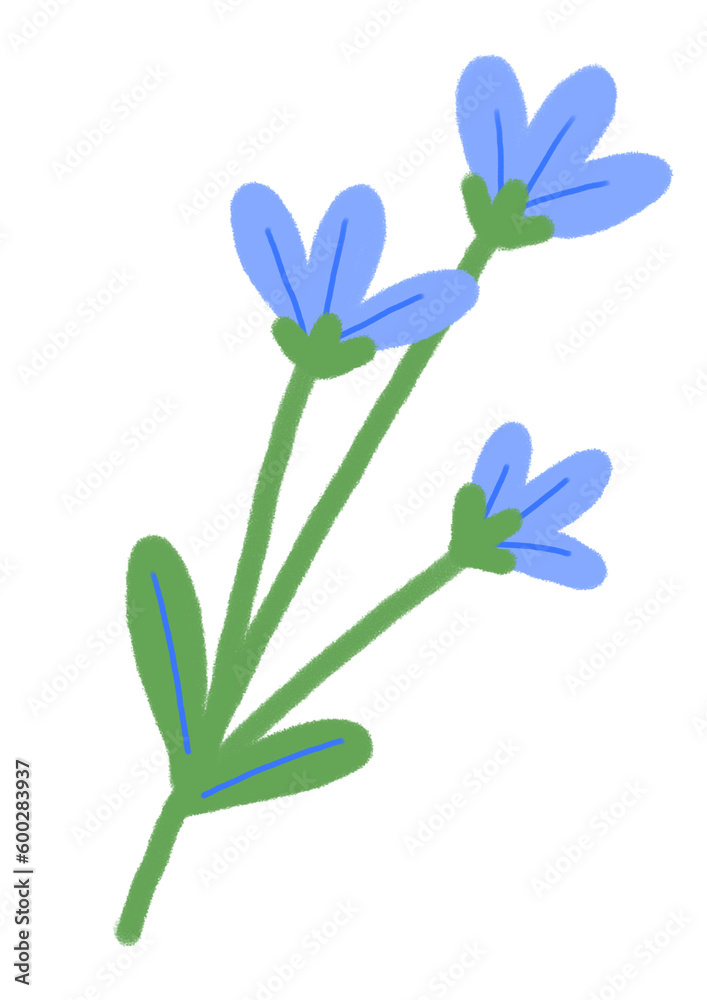 Naklejka premium Hand drawn doodle blue flower isolated on white. Flat illustration.