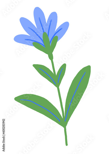 Fototapeta Naklejka Na Ścianę i Meble -  Hand drawn doodle blue flower isolated on white. Flat illustration.