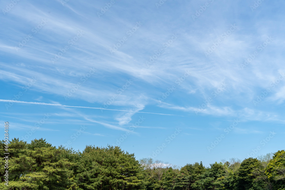 青空と新緑の風景 青空と新緑の風景