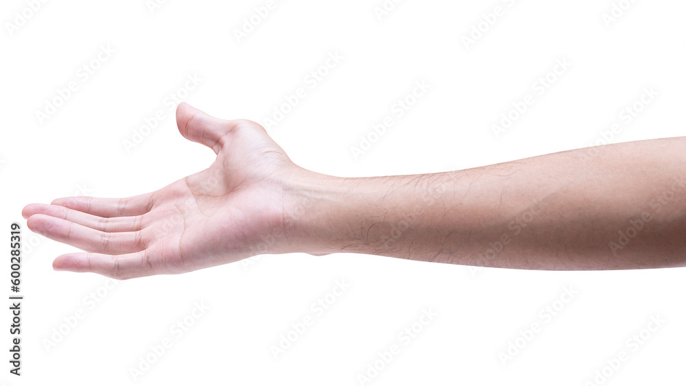 Male hand reach and ready to help or receive. Gesture isolated on white background.