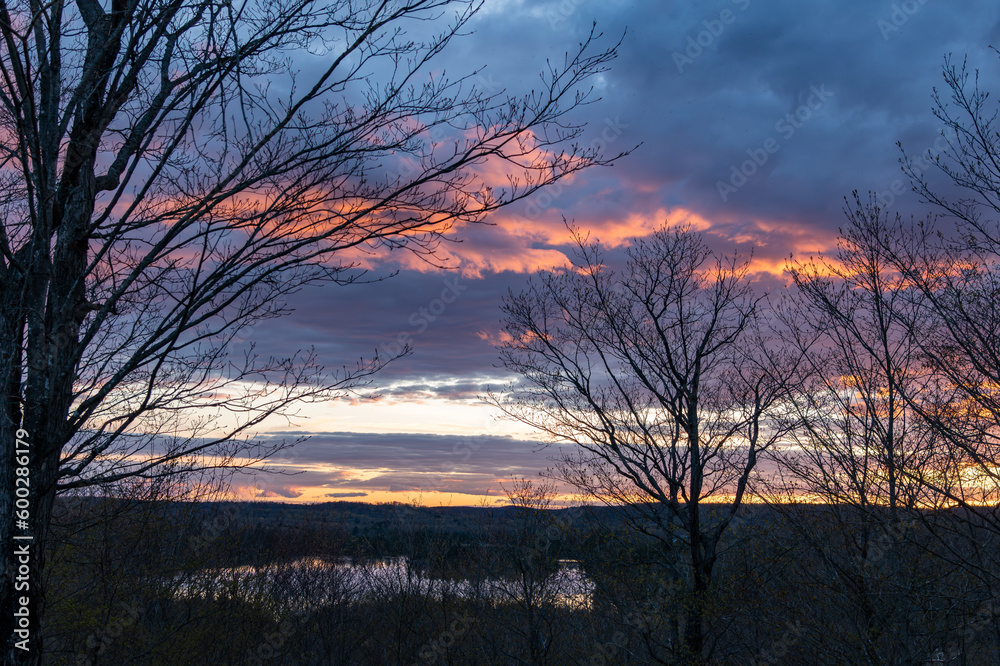 Obraz premium Pink Sky at Night