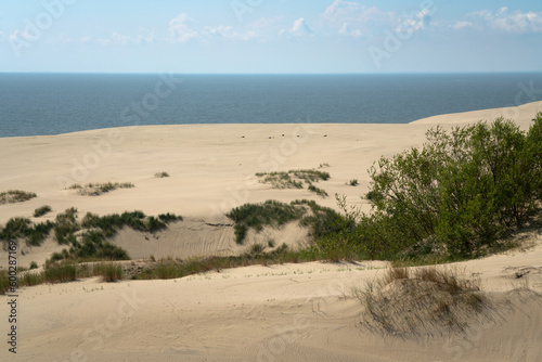 View of Staroderevenskaya dune from the height of Efa (Walnut Dune) and the Baltic Sea in the background on a sunny summer day, Curonian Spit, Kaliningrad region, Russia photo
