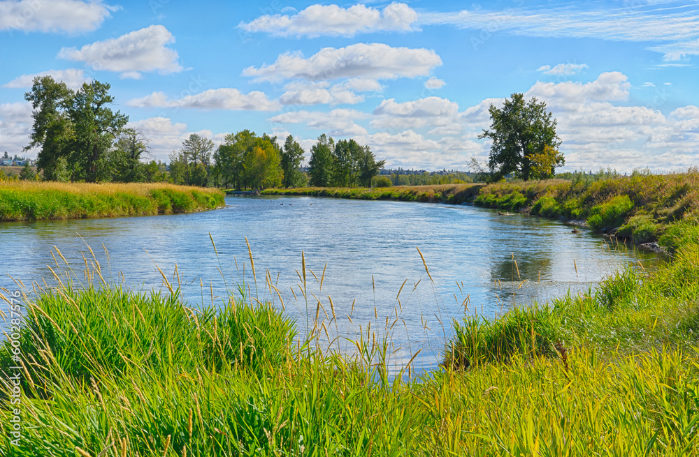 Naklejka premium Landscape of the Bow River in Fish Creek Park, Calgary, Alberta, Canada