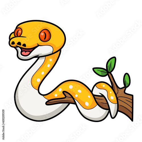 Cute albino pied reticulated python cartoon on tree branch