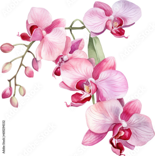 Fotografiet Pink Orchid flower watercolor illustration. Generative AI