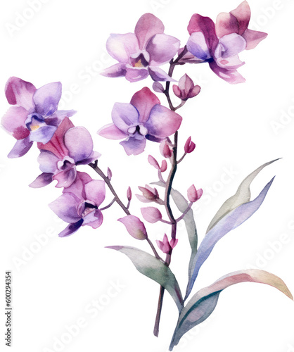 Fotografia Purple Orchid flower watercolor illustration. Generative AI