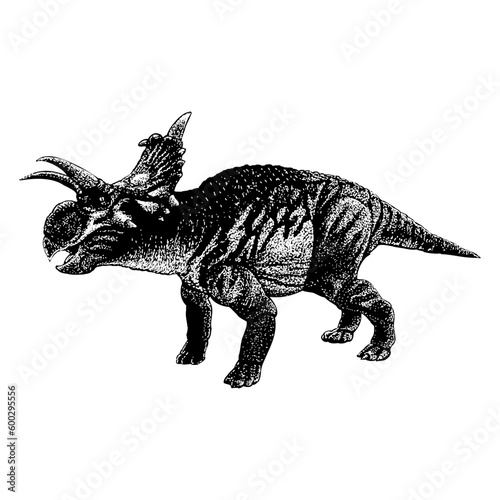 Xenoceratops hand drawing vector isolated on background.