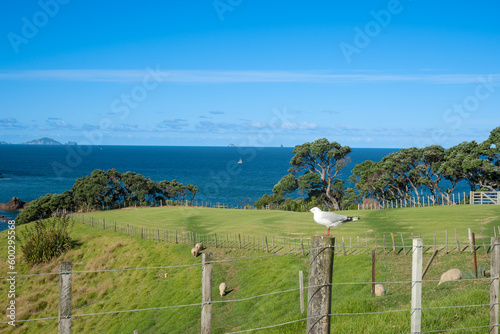 Rural coastal landscape focus on background overlooking farmland to sea and horizon photo