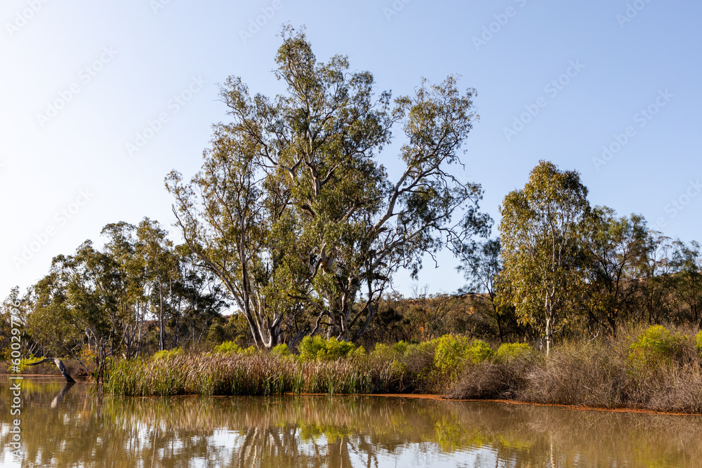 The Murray River, a famous river system in Australia bordering on Victoria, South Australia and New South Wales