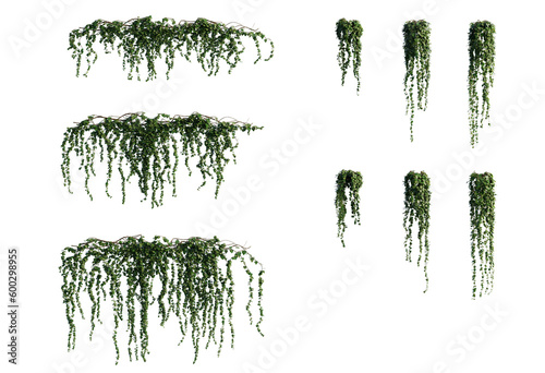 Cut out png Ivy plant hanging multiple type