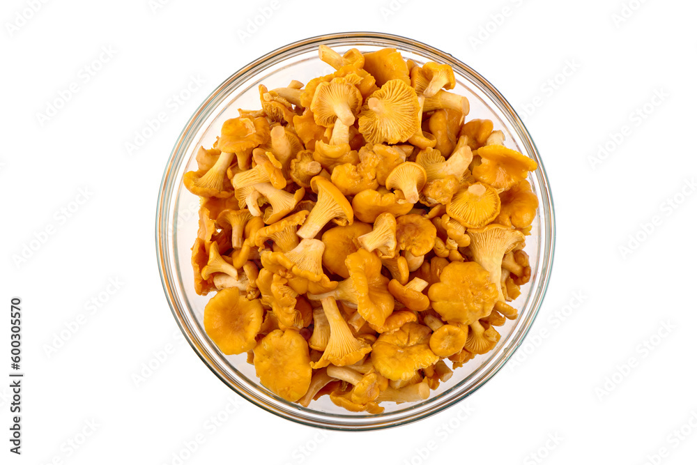Raw fresh chanterelles mushrooms, isolated on white background. Raw fresh chanterelles mushrooms, isolated on white background.