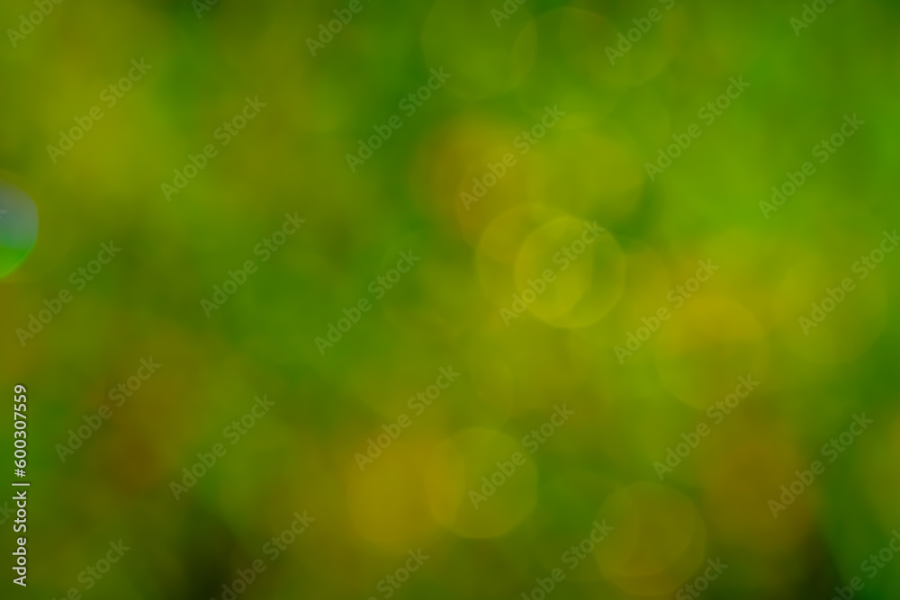 Abstract blurred light or green bokeh background	