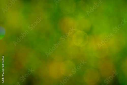 Abstract blurred light or green bokeh background	