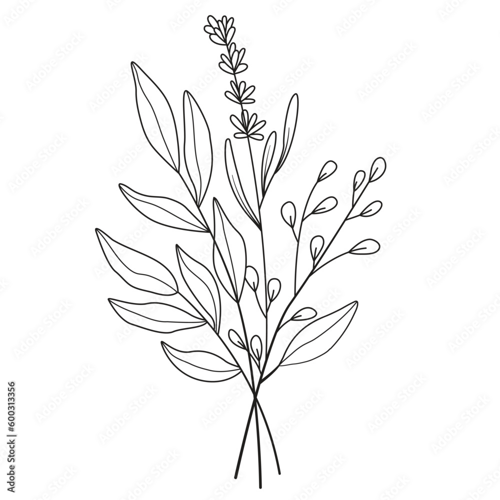 flower line art drawing with abstract shape. Abstract Plant Art design for print, cover, wallpaper, Minimal and natural wall art. flower line art drawing with abstract shape. Abstract Plant Art design for print, cover, wallpaper, Minimal and natural wall art.