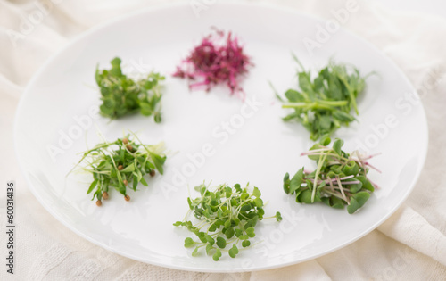 The concept of a healthy diet, the cultivation of microgreens - red amaranth, mustard, arugula, peas, cilantro on a white plate