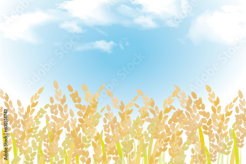 稲　米の風景イラスト