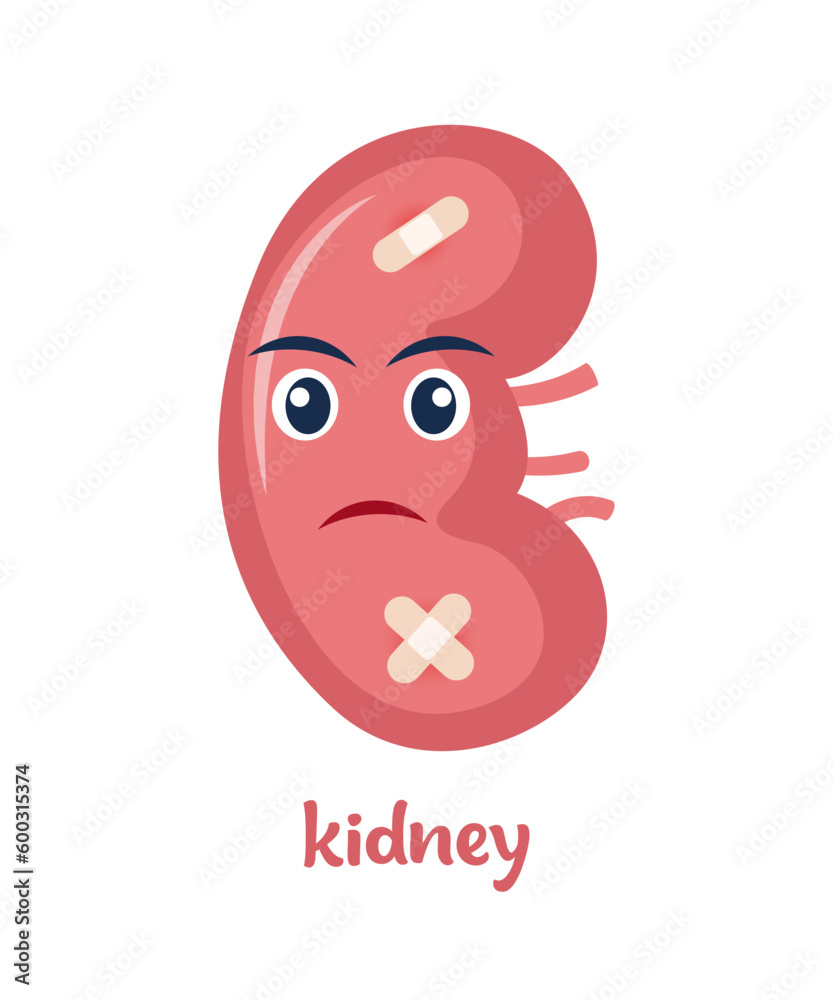 Fototapeta premium Sick kidney with pain ache or disease. Sad cartoon character kidney, body organ injured or unhealthy. Human cartoon anatomy, kids medicine. Vector illustration.