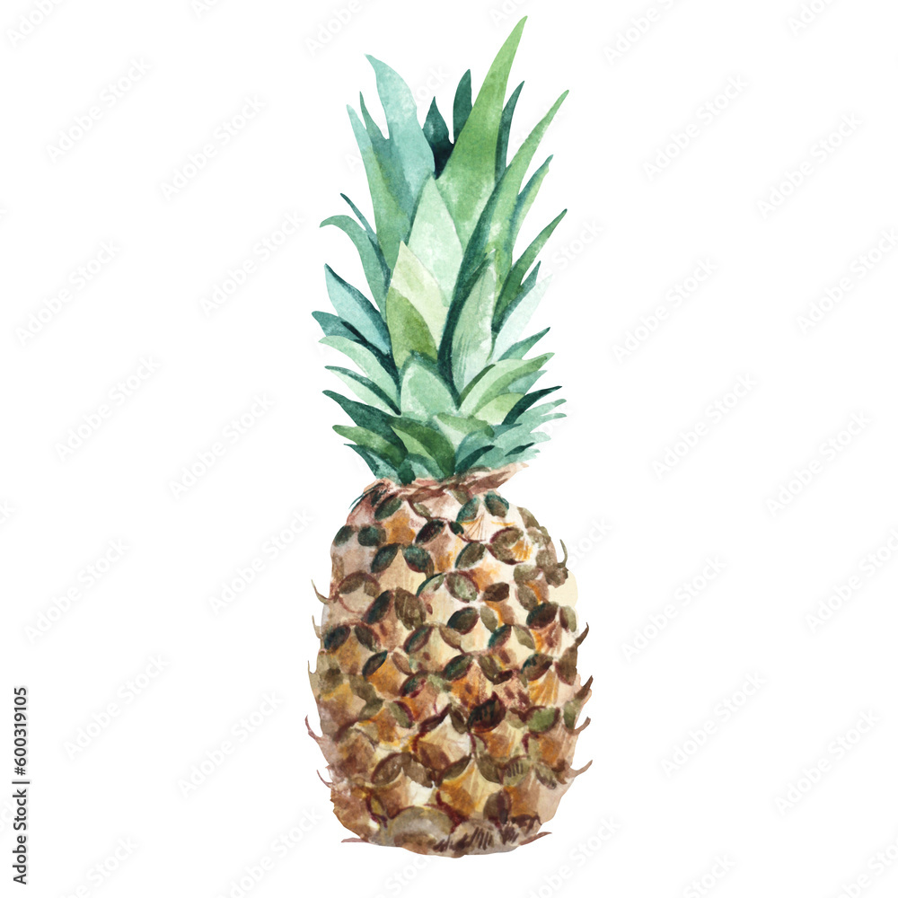 Fototapeta premium Pineapple watercolor illustration isolated on white background. For design, decoration, compositions of postcards, posters, stickers, prints.