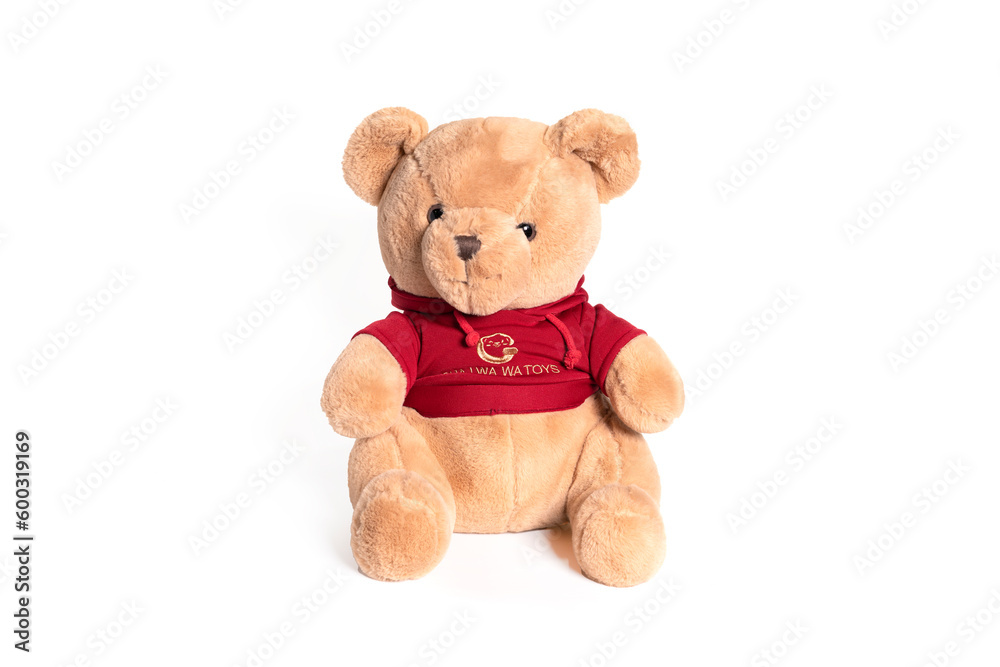 Obraz premium Fluffy teddy bear isolated on white background.