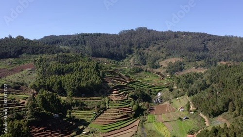 Green Rice Field Terraces and Mountain Village Landscape View in Poondi Village Kodaikanal India, Aerial Drone Panoramic View photo