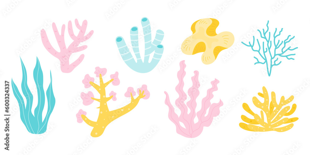 Obraz premium Various types of coral reefs, algae and seaweed
