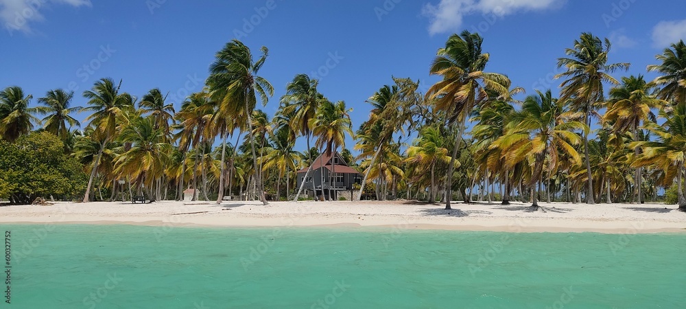 Obraz premium Plage des caraïbes