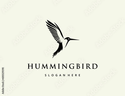 Vector hummingbird logo design template