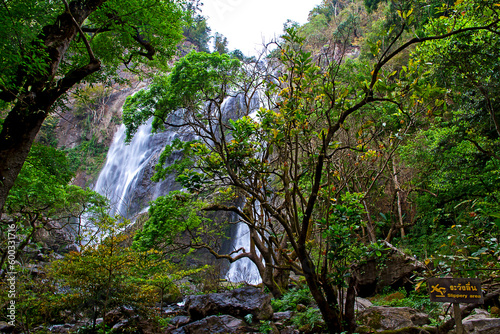 Khlong Lan Waterfall in the rainforest