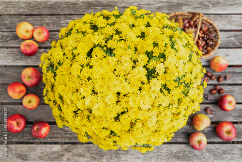 Fresh apples, chestnuts and yellow blooming chrysanthemums on wooden table photo