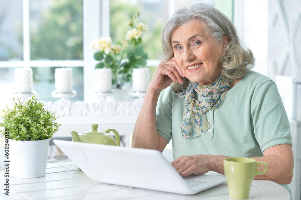Portrait of beautiful senior woman sitting at table with laptop Portrait of beautiful senior woman sitting at table with laptop